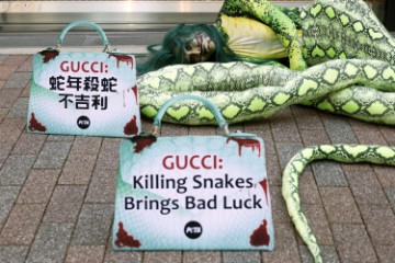 JAPAN PETA PROTEST