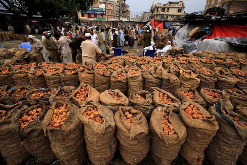 PAKISTAN AGRICULTURE JAGGERY