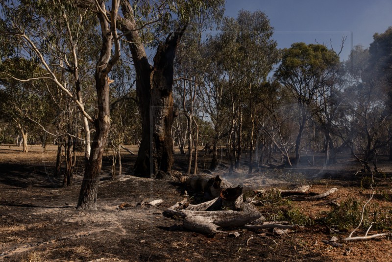 AUSTRALIA BUSHFIRES VICTORIA