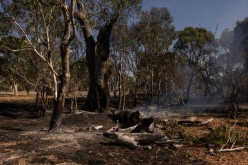 AUSTRALIA BUSHFIRES VICTORIA