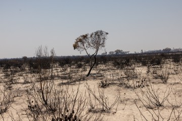 AUSTRALIA BUSHFIRES VICTORIA