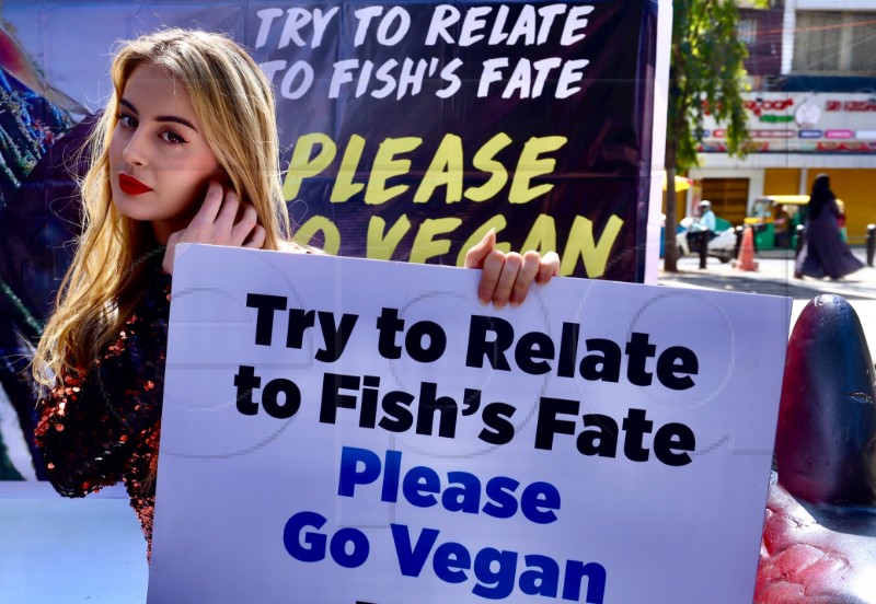 INDIA PETA PROTEST