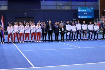 Davis Cup, Hrvatska - Slovačka, meč Duje Ajduković - Lukas Klein