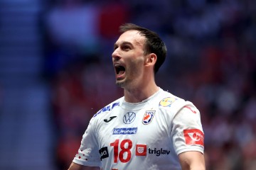 Finale Svjetskog rukometnog prvenstva, Hrvatska - Danska