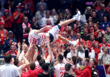 Finale Svjetskog rukometnog prvenstva, Hrvatska - Danska