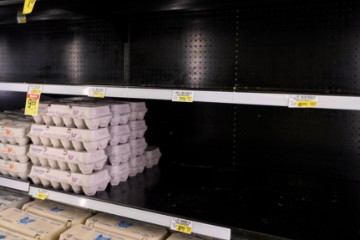 USA EGG SHORTAGE