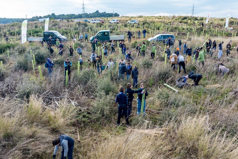 Volonteri posadili 1600 novih stabala na požarištu Valdebečke šume kod Pule