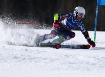 AUSTRIA ALPINE SKIING 