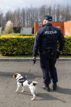 Dumovec: Grobno mjesto za službene pse MUP-a