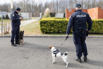 Dumovec: Grobno mjesto za službene pse MUP-a