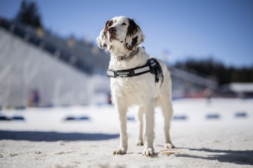 SWITZERLAND BIATHLON