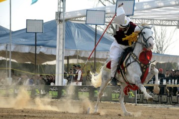 PAKISTAN TENT PEGGING