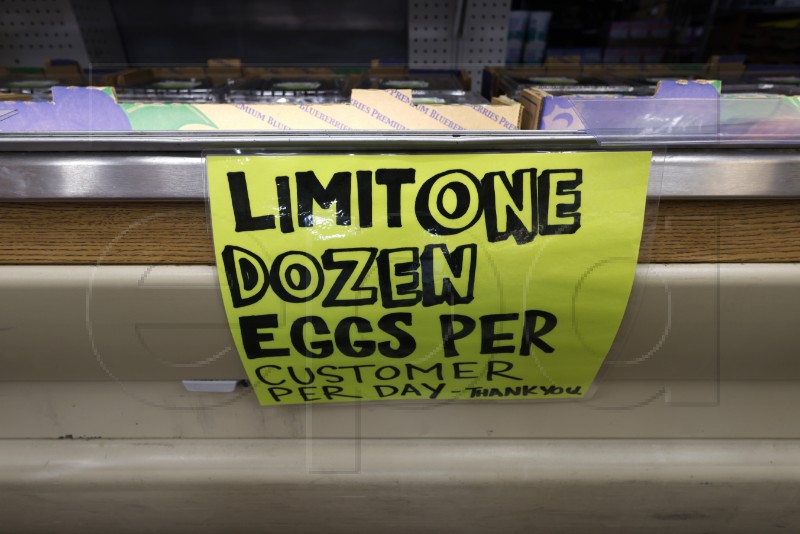 USA EGG SHORTAGE