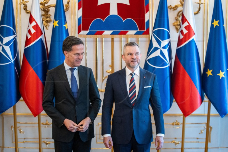 SLOVAKIA NATO DEFENSE