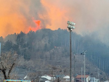 JAPAN WILDFIRES