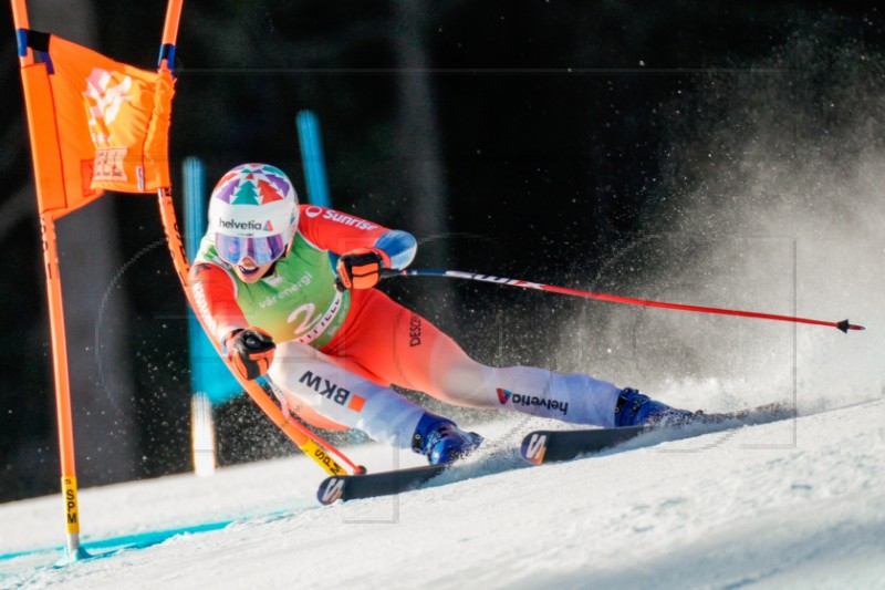 NORWAY ALPINE SKIING