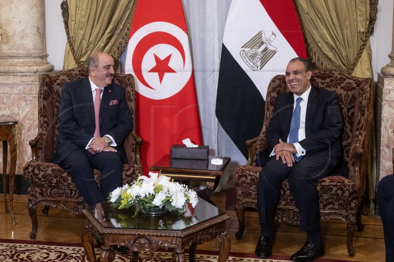 EGYPT ARAB DIPLOMACY