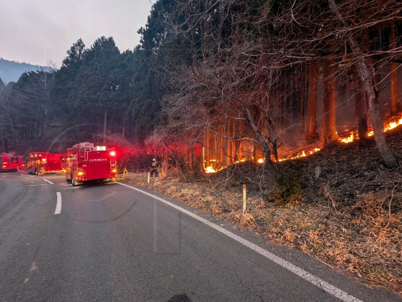 JAPAN WILDFIRE