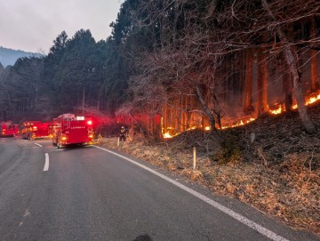 JAPAN WILDFIRE