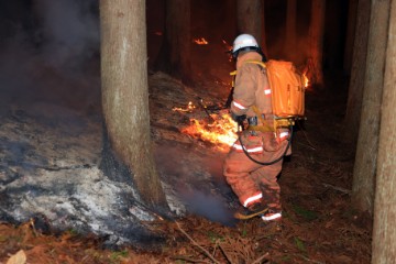 JAPAN WILDFIRE