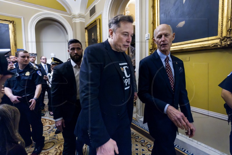 USA CAPITOL MUSK 