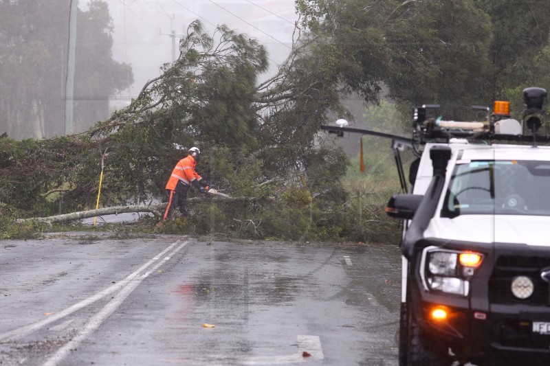 AUSTRALIA  CYCLONE ALFRED 