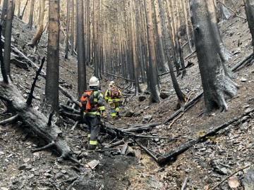 JAPAN WILDFIRE