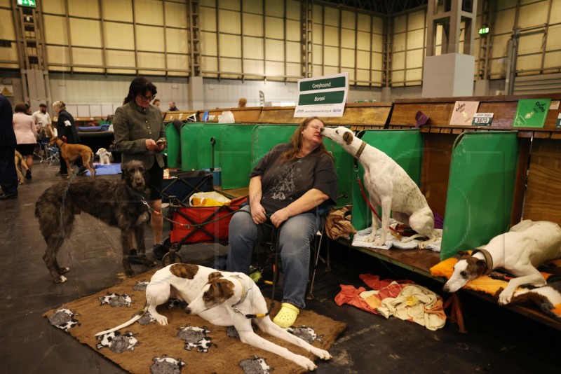 BRITAIN ANIMALS CRUFTS