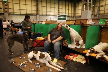 BRITAIN ANIMALS CRUFTS