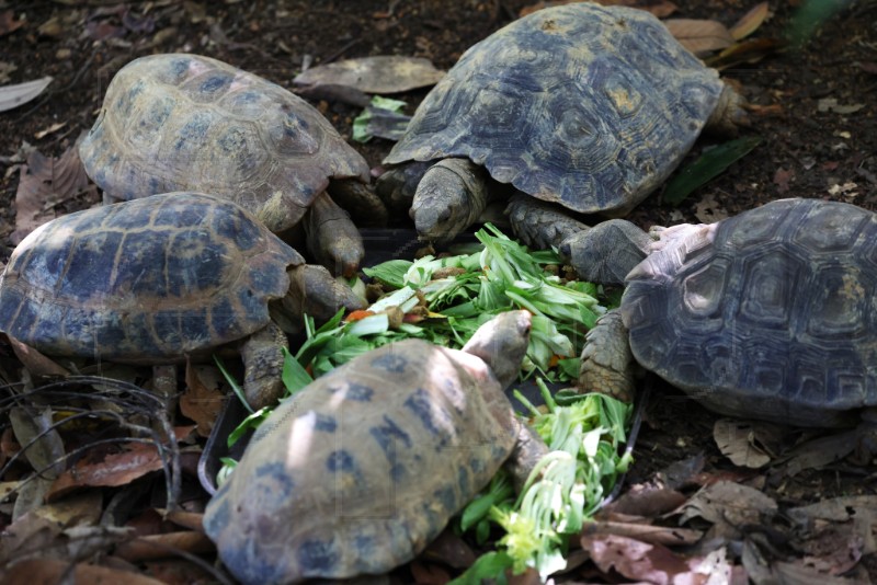 SINGAPORE WILDLIFE PARK