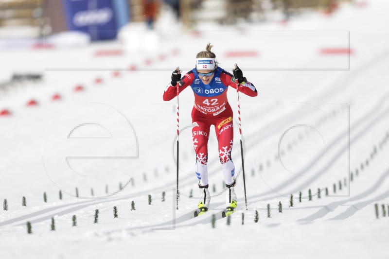 NORWAY CROSS COUNTRY SKIING