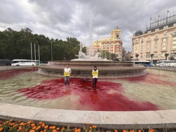 SPAIN ISRAEL GREENPEACE PROTEST
