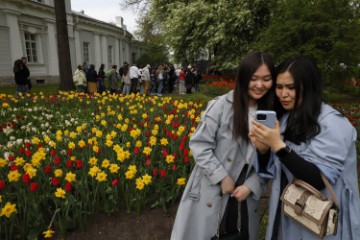 RUSSIA TULIP FESTIVAL