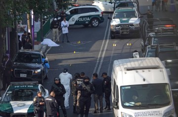 MEXICO GOVERNMENT VIOLENCE