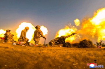 NORTH KOREA GOVERNMENT DEFENSE