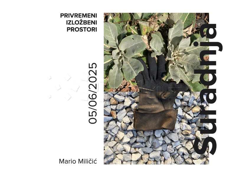Mane Mei otvara izložbu u privremenoj galeriji na Zapadnom kolodvoru
