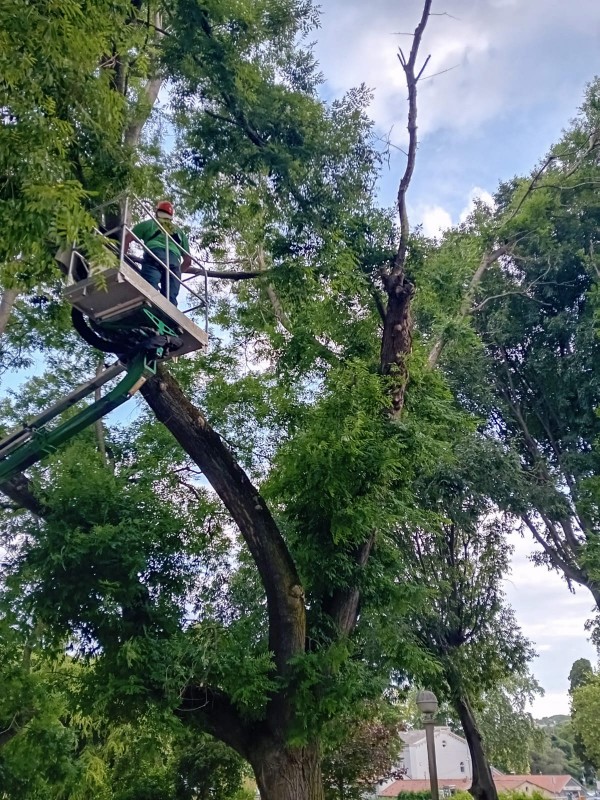 U sinoćnjem nevremenu u Istri ozlijeđeno sedam osoba