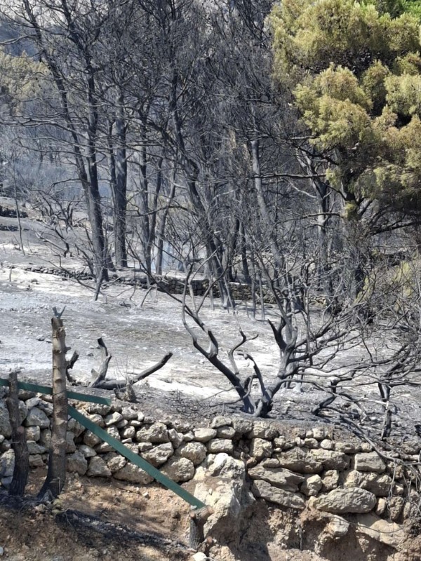 Posljedice požara koji je zahvatio područje Piska, Marušića i Mimice