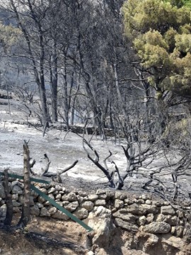 Posljedice požara koji je zahvatio područje Piska, Marušića i Mimice