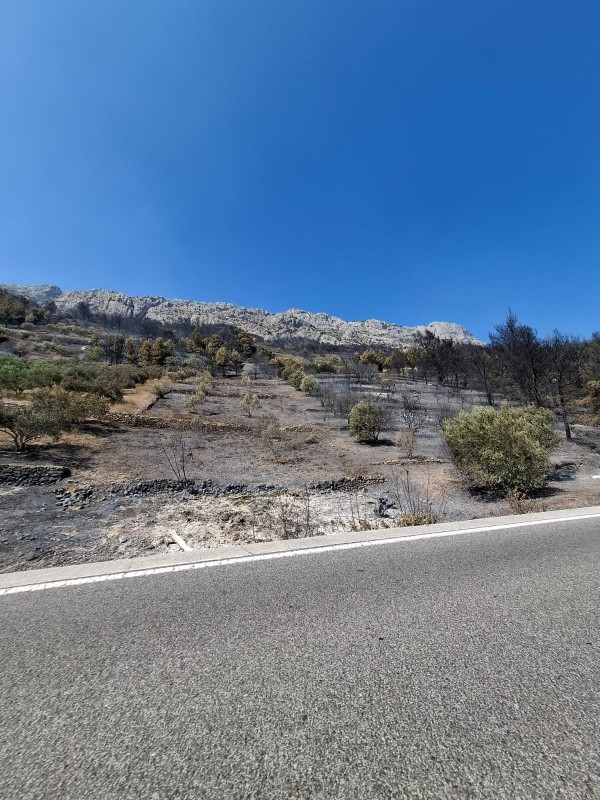 Posljedice požara koji je zahvatio područje Piska, Marušića i Mimice
