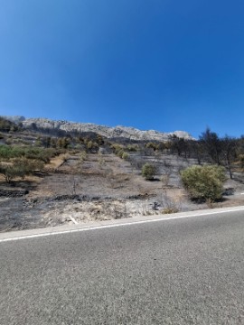 Posljedice požara koji je zahvatio područje Piska, Marušića i Mimice