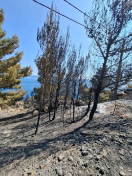 Posljedice požara koji je zahvatio područje Piska, Marušića i Mimice
