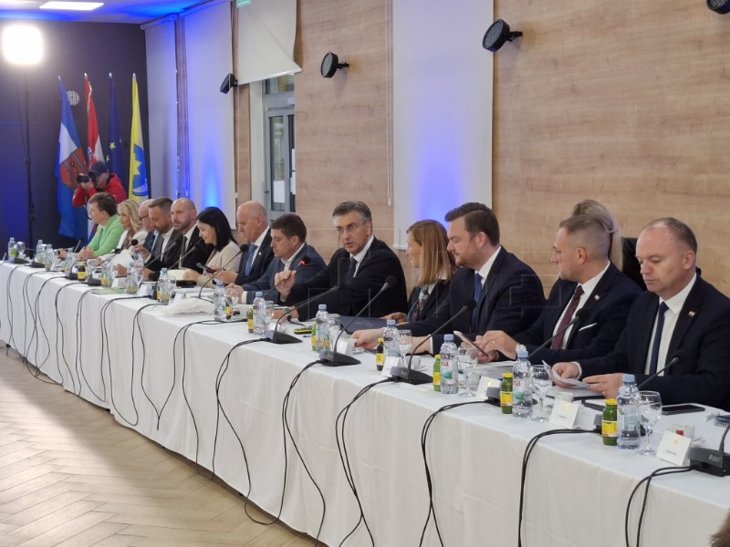 Sjednica Savjeta za Slavoniju, Baranju i Srijem