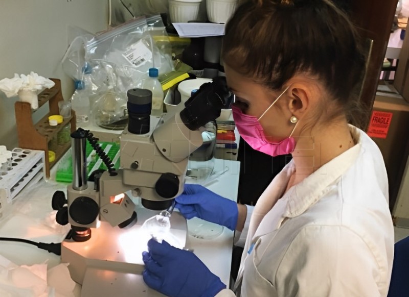 Znanstvenice IRB-a otkrile gene potencijalno osjetljive na toksične metale