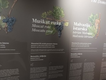 Svečano otvoren prvi muzej vina Istre