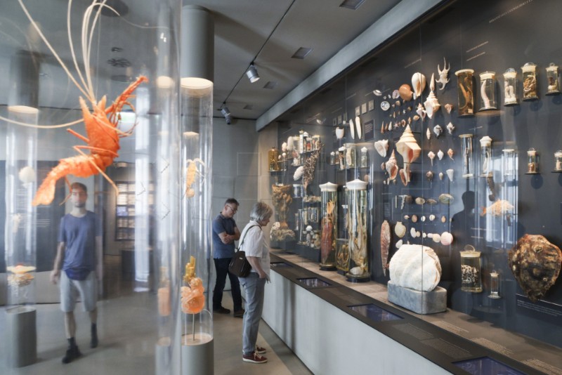 Zagrebački muzejski vikend (MUV)