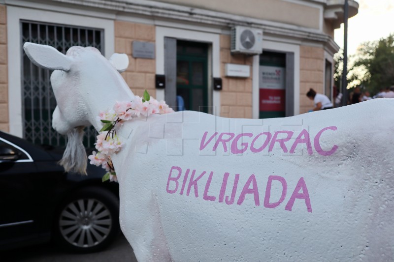 Vrgorac slavi četvrt stoljeća Biklijade - fešta loze i koze