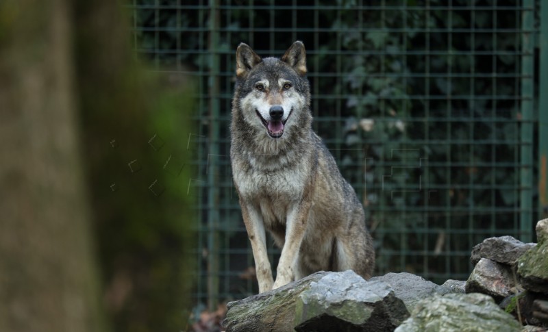 Božićni darovi za životinje u zagrebačkom zoološkom vrtu