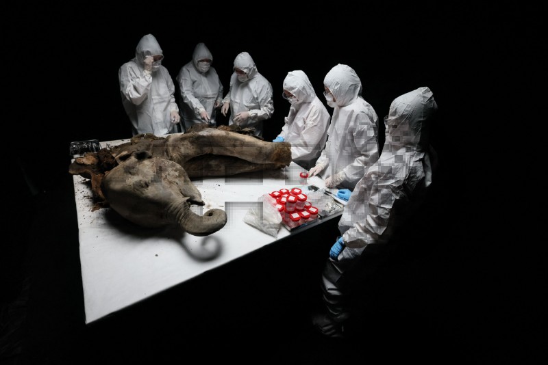 RUSSIA-SCIENCE-ENVIRONMENT-ANIMAL-AFP PICTURES OF THE YEAR 2025