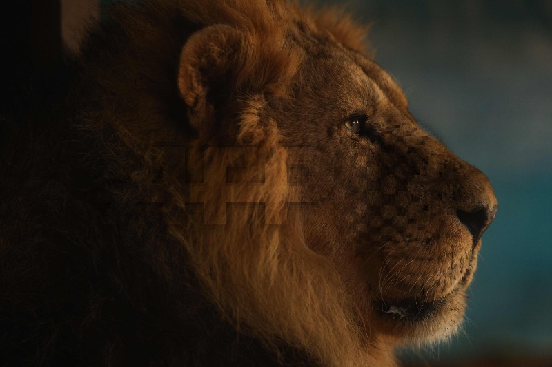 BRITAIN-ANIMAL-ZOO